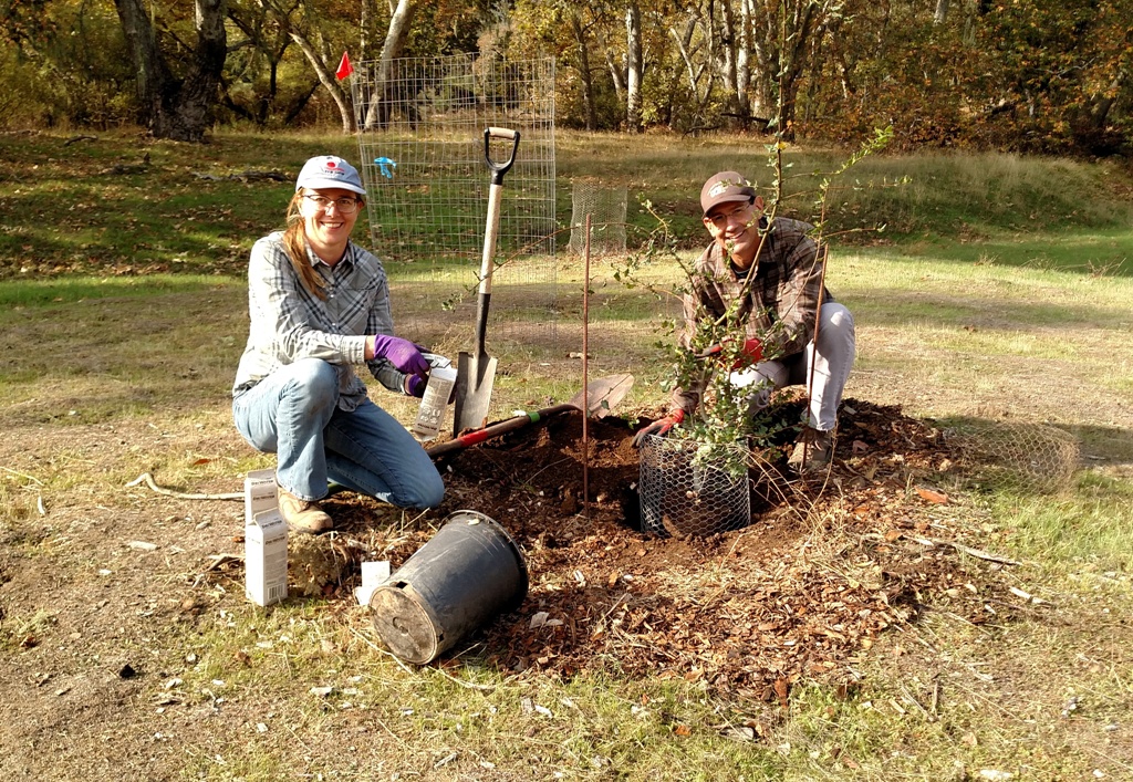Meg and Craig planting a Live Oak tree.